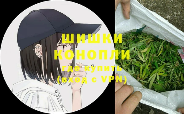 ГАЛЛЮЦИНОГЕННЫЕ ГРИБЫ Белокуриха