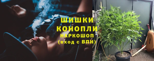 гидропоника Богданович